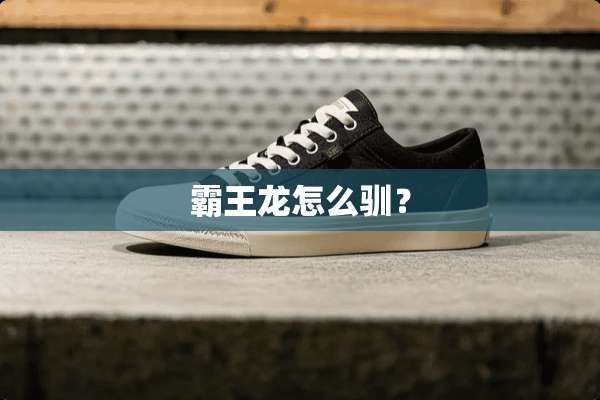 **龙怎么驯？