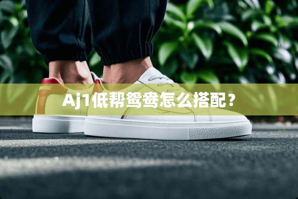 Aj1低帮鸳鸯怎么搭配？