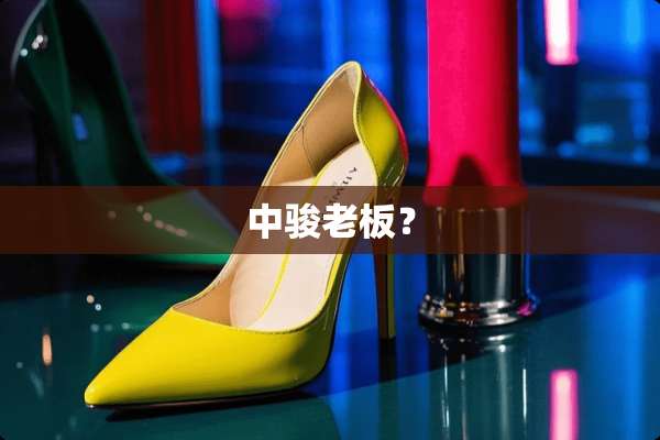 中骏老板？