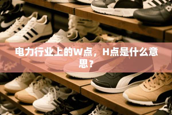 电力行业上的W点，H点是什么意思？