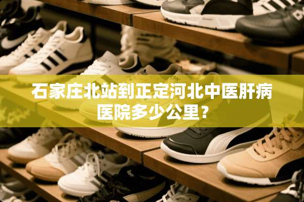 石家庄北站到正定河北中医肝病医院多少公里？