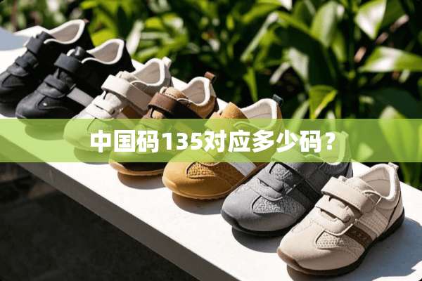 中国码135对应多少码？