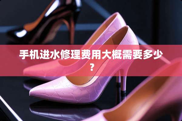 手机进水修理费用大概需要多少？