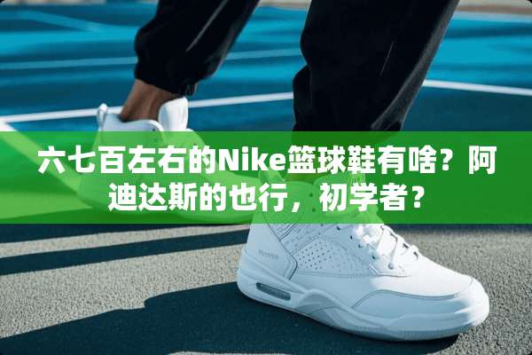 六七百左右的Nike篮球鞋有啥？阿迪达斯的也行，初学者？
