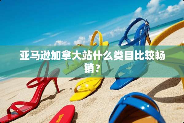 亚马逊加拿大站什么类目比较畅销？
