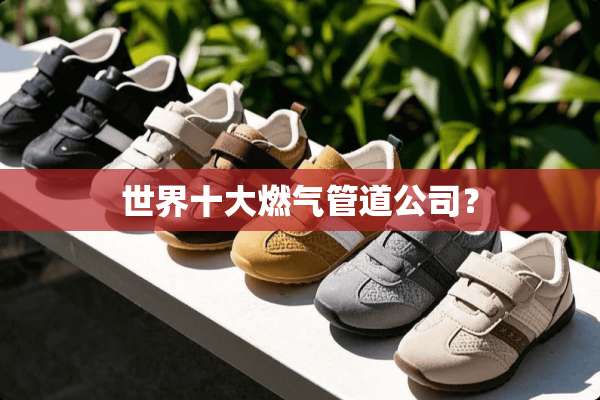 世界十大燃气管道公司？