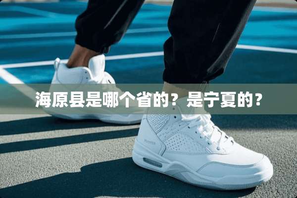 海原县是哪个省的？是宁夏的？