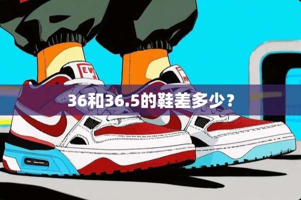 36和36.5的鞋差多少？