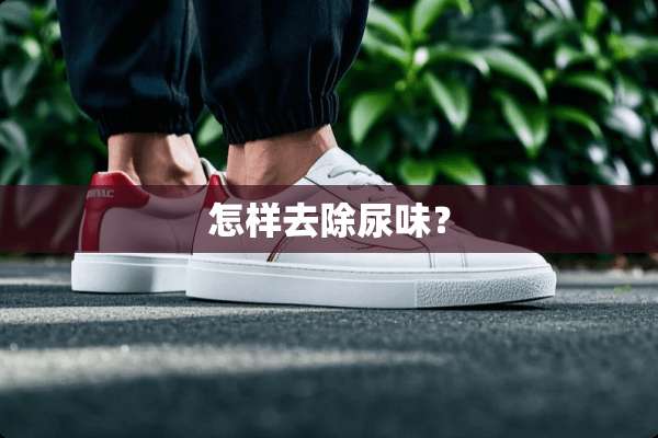 怎样去除尿味？