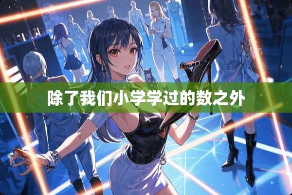 除了我们小学学过的数之外