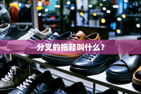 分叉的拖鞋叫什么？