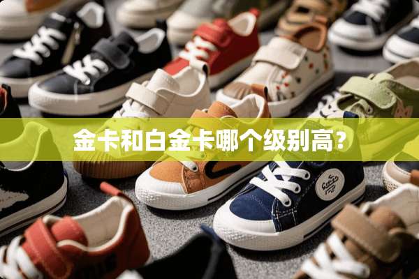 金卡和白金卡哪个级别高？