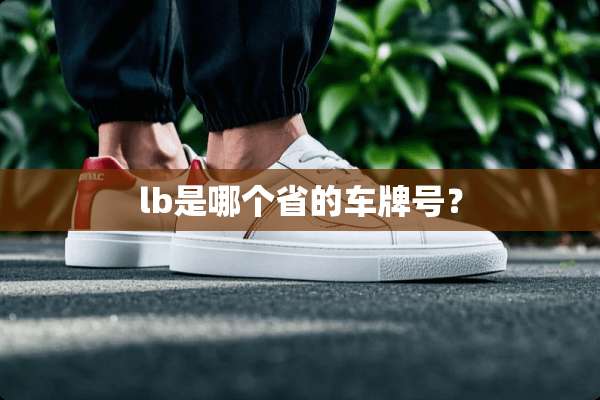 lb是哪个省的***？