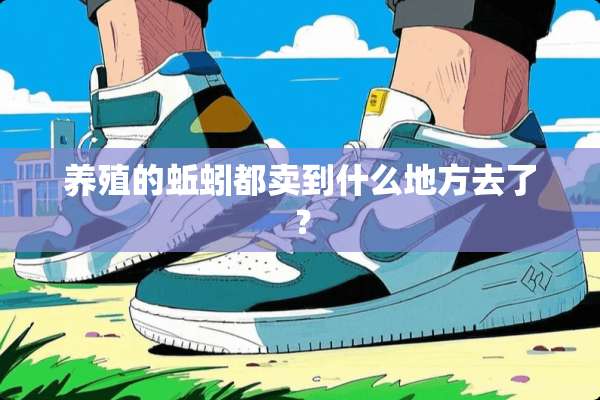 养殖的蚯蚓都卖到什么地方去了？