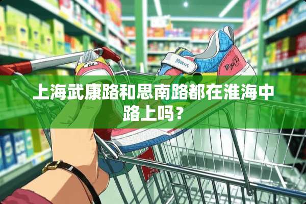上海武康路和思南路都在淮海中路上吗？