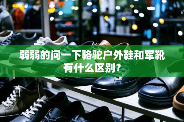 弱弱的问一下骆驼户外鞋和军靴有什么区别？