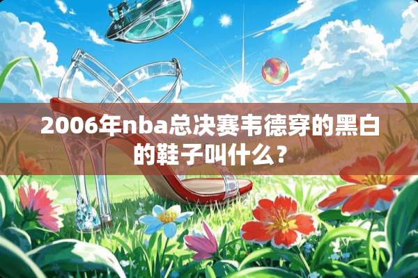 2006年nba总决赛韦德穿的黑白的鞋子叫什么？