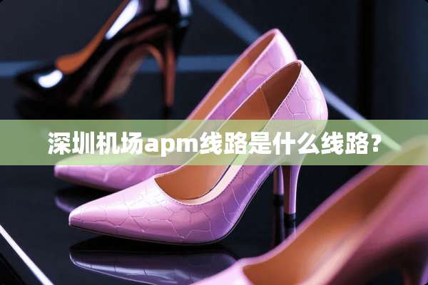 深圳机场apm线路是什么线路？