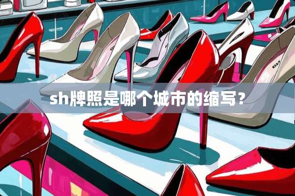 sh牌照是哪个城市的缩写？