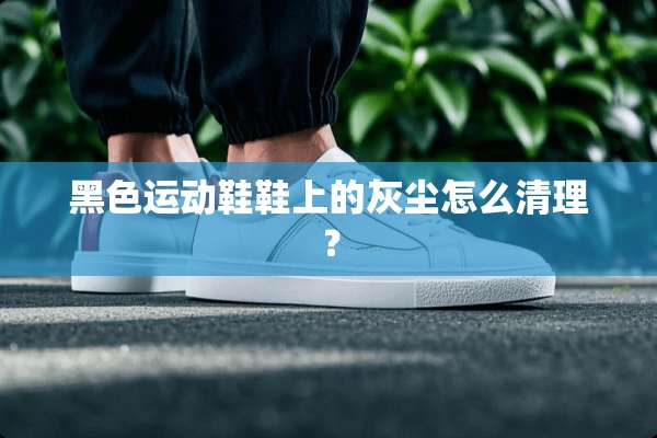 黑色运动鞋鞋上的灰尘怎么清理？