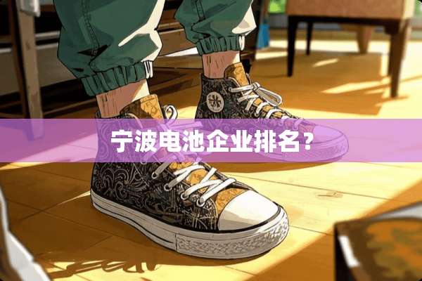 宁波电池企业排名？