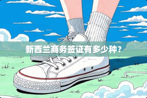 新西兰商务签证有多少种？