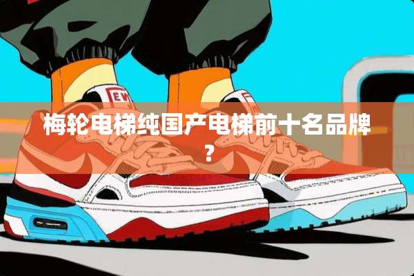 梅轮电梯纯国产电梯前十名品牌？