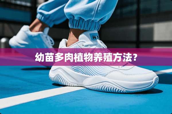 幼苗多肉植物养殖方法？