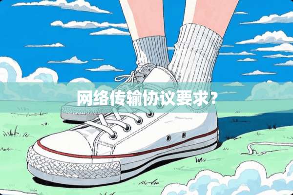 网络传输协议要求？