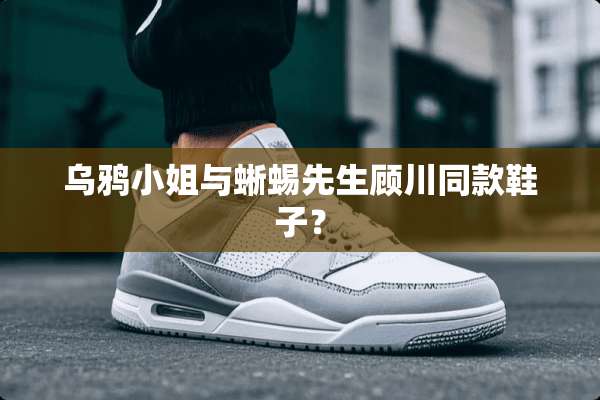 乌鸦小姐与蜥蜴先生顾川同款鞋子？