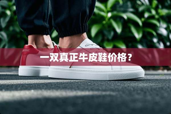 一双真正牛皮鞋价格？