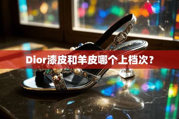 Dior漆皮和羊皮哪个上档次？