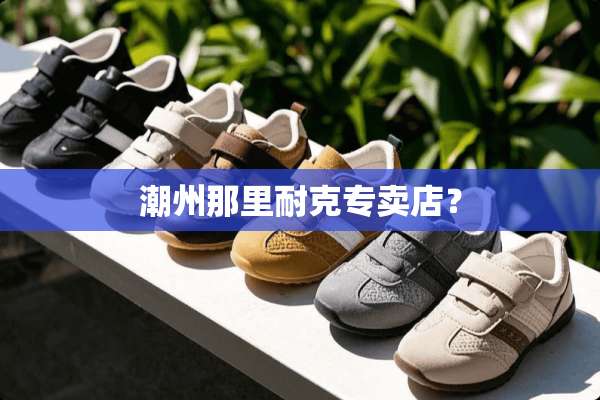 潮州那里耐克专卖店？