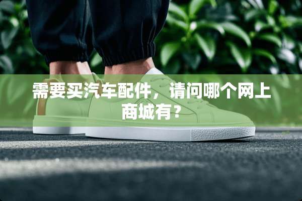 需要买汽车配件，请问哪个网上商城有？