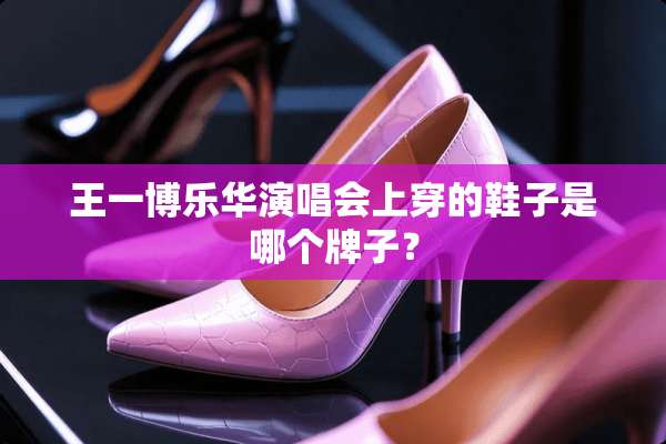王一博乐华演唱会上穿的鞋子是哪个牌子？