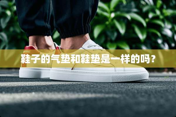 鞋子的气垫和鞋垫是一样的吗？