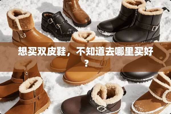 想买双皮鞋，不知道去哪里买好？
