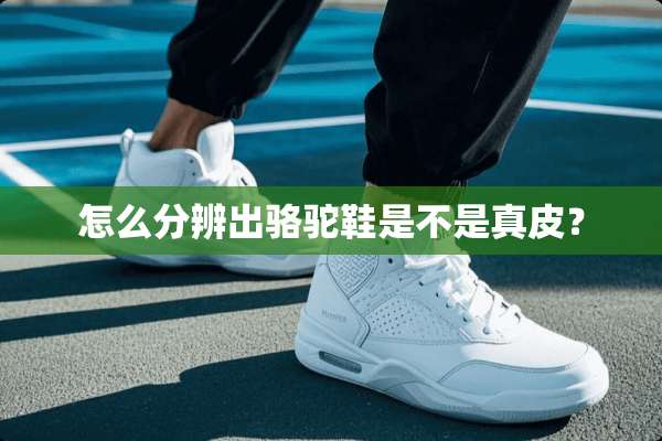 怎么分辨出骆驼鞋是不是真皮？
