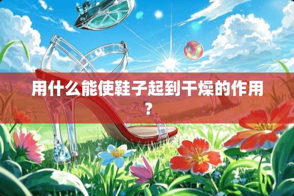 用什么能使鞋子起到干燥的作用？
