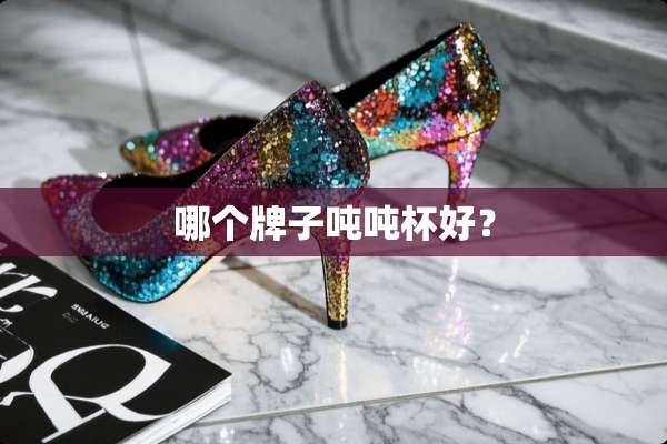 哪个牌子吨吨杯好？