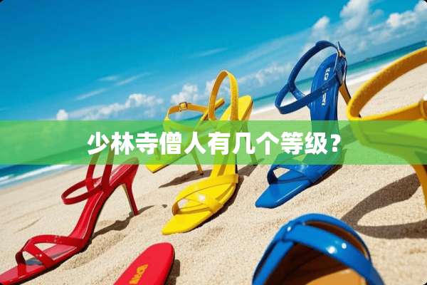 少林寺僧人有几个等级？