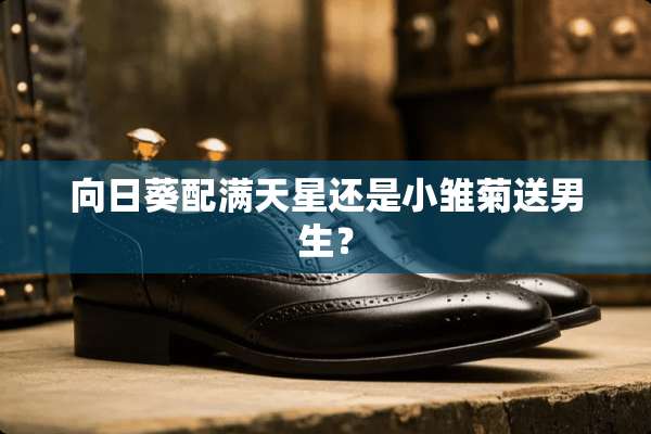 向日葵配满天星还是小雏菊送男生？