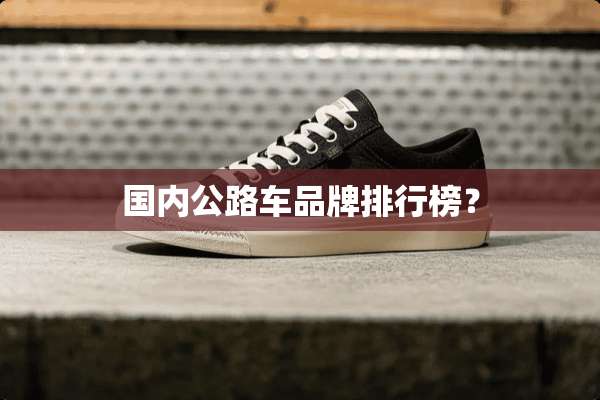 国内公路车品牌排行榜？