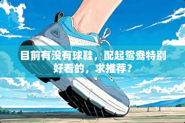 目前有没有球鞋，配起鸳鸯特别好看的，求推荐？