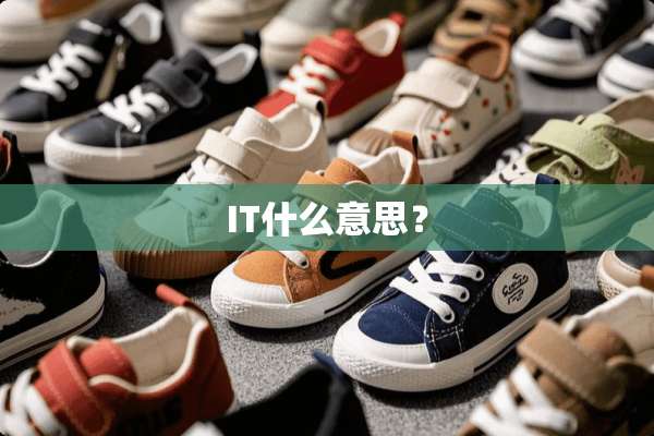 IT什么意思？