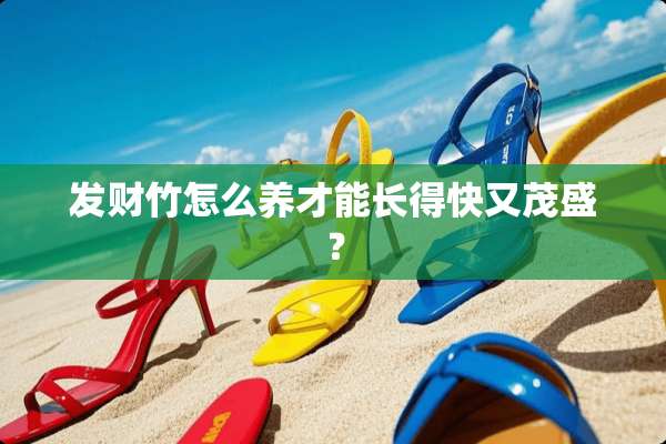 发财竹怎么养才能长得快又茂盛？