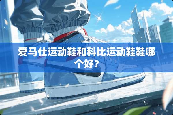 爱马仕运动鞋和科比运动鞋鞋哪个好？