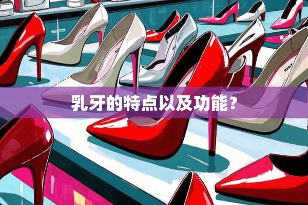 *牙的特点以及功能？
