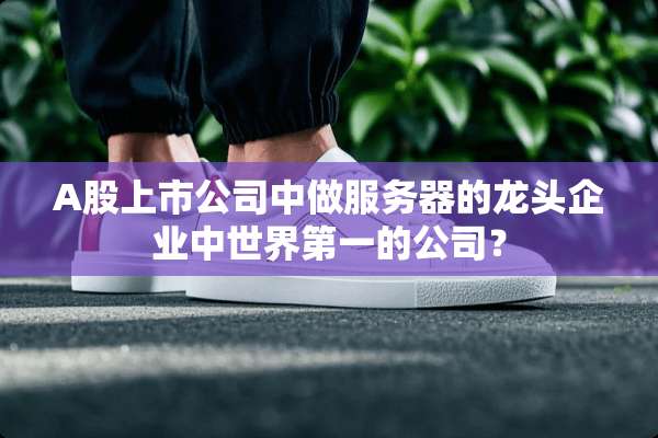 A股上市公司中做服务器的龙头企业中世界第一的公司？