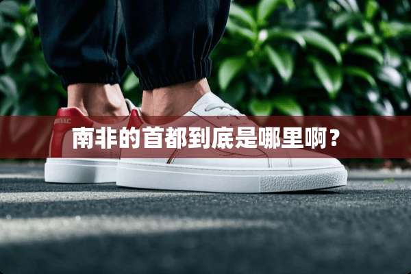 南非的首都到底是哪里啊？